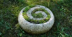 a stone bowl filled with green plants on top of grass