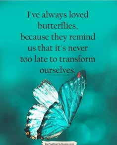 a blue butterfly sitting on top of a flower with a quote above it that says i've always loved butterflies, because they remind us that it's never too late to transform ourselves