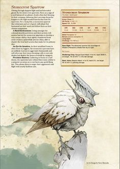 statistics for stonecrest sparrow, tiny beast, neutral good, dnd 5e Mine Drawing, Drawing Monsters, Dnd Monsters, Curious Creatures