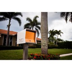 a mailbox sitting next to a palm tree