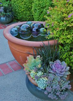 there are many succulents and plants in the potted planter on the sidewalk