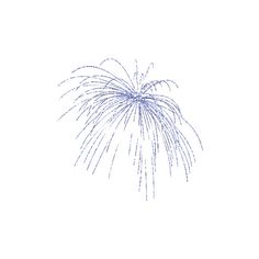 a blue firework is shown in the sky