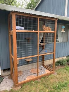 a cat sitting in a cage on the outside of a house