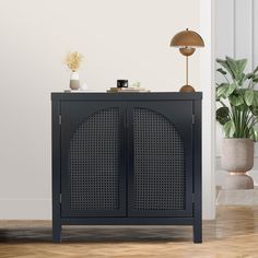 a black cabinet sitting next to a potted plant on top of a hard wood floor