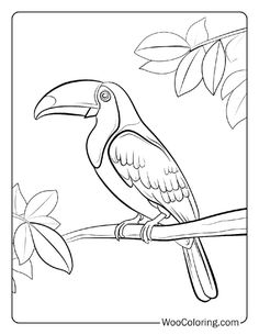 a toucan bird sitting on a tree branch