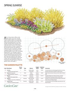 the garden guide for spring is shown in this page, with information about plants and their names