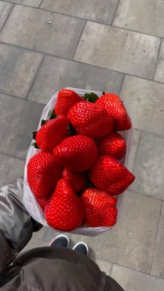 a person holding a bag full of strawberries