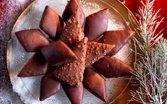 a plate topped with pieces of chocolate on top of a wooden table next to a potted plant