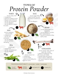 Types Of Protein, Functional Health, Nutritional Therapy, Protein Powders, Makanan Diet, Gluten Intolerance, Health Research, Health Knowledge, Holistic Nutrition