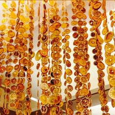 some orange buttons hanging from a ceiling in a room with white walls and lights on the ceiling