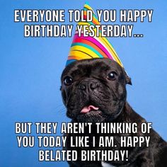 a dog wearing a birthday hat with the caption everyone told you happy birthday, but they aren't thinking of you today like i am happy to be able to celebrate