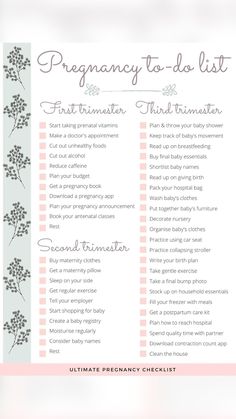 a printable baby shower checklist with the words, pregancy to do list