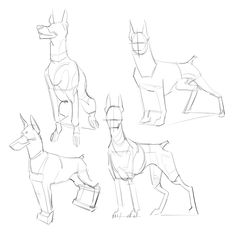 some sketches of dogs in different poses