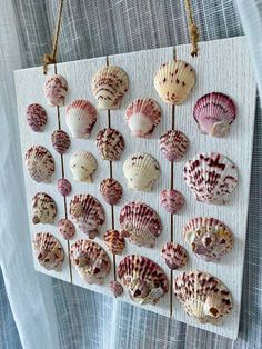 several seashells are arranged on a white board and hanging from strings in the shape of hearts