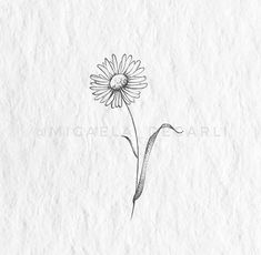 a drawing of a flower on paper with the word love written in black and white