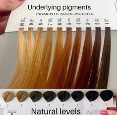 Level 6 Hair, Level 6 Hair Color, Level 7 Hair Color, Wella Toner, Hair Chart, Hair Levels, Wella Hair Color, Wella Color Charm, Balayage Blond