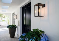 a black door and some blue flowers on the side of a white building with two large planters