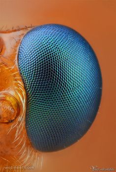 a close up view of a blue ball on top of an orange surface with other objects around it