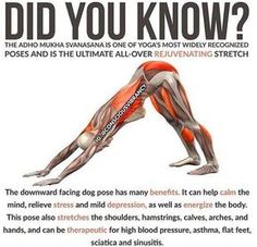 a poster with the words did you know? and an image of a man doing yoga