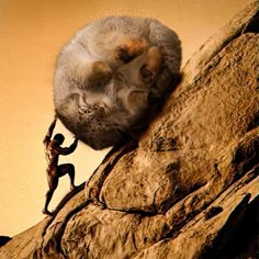 a man climbing up the side of a mountain with a cat on his back and another person reaching for it