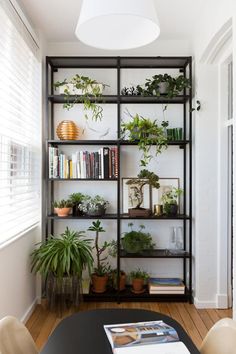 a living room filled with lots of plants and bookshelves next to a window