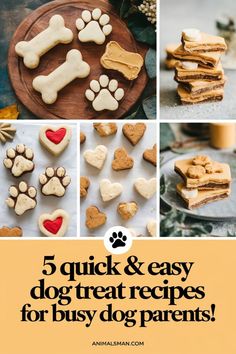 dog treats with the words 5 quick & easy dog treat recipes for busy parents on them