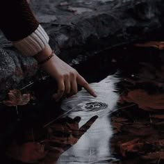 a person's hand touching the water on top of some rocks and fallen leaves