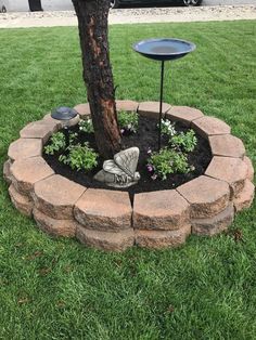 a tree in the middle of a flower bed with a birdbath on it