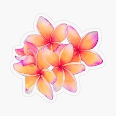 an orange and pink flower sticker on a white background