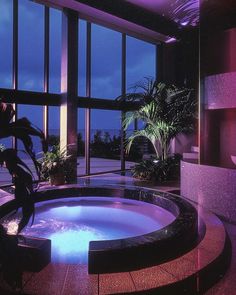 an indoor jacuzzi tub in front of large windows at night with palm trees