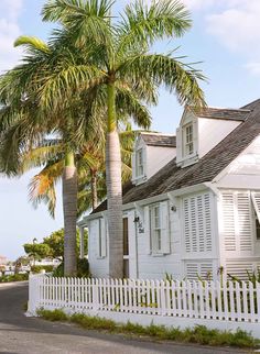 a white house with palm trees in front of it