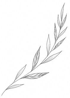 a drawing of a branch with leaves on it