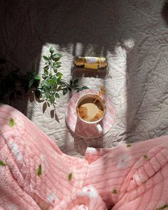 a cup of coffee on a pink blanket next to a plant and some chocolate bars