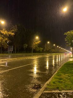 a wet street at night with lights shining on the grass and trees in the background