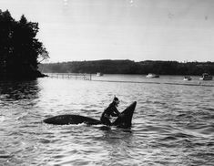 a man riding on the back of a large whale in a body of water next to trees