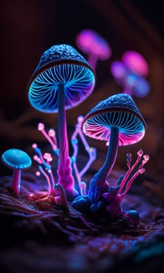 three blue and pink mushrooms are glowing in the dark