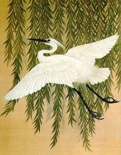 two white birds are flying in the air