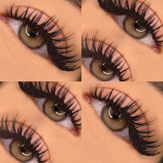 Types Of Eyelash Extensions, Day Eye Makeup, Best False Eyelashes, Lashes Tutorial, Foto Top