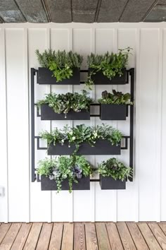 a wall mounted planter filled with plants on top of a wooden floor next to a white wall