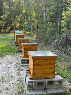 several beehives are lined up on concrete blocks in front of trees and grass