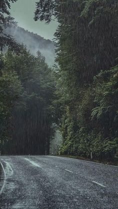 an empty road in the middle of a forest with rain falling down on it and trees lining both sides