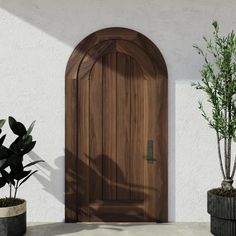 a wooden door sitting next to two potted plants