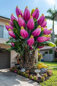 a large pink flower arrangement in front of a house with bananas and other flowers around it