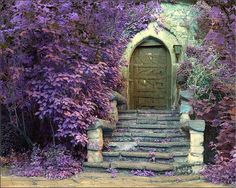 an old door is surrounded by purple flowers and steps that lead up to the entrance