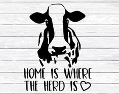 a black and white cow with the words home is where the herd is