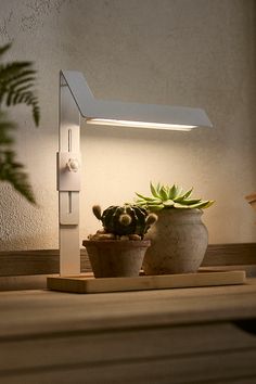 two potted plants sitting next to each other on a shelf under a light fixture