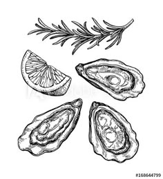 oysters with rosemary sprig and lemon slices