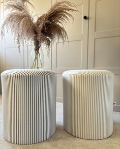 two striped stools with plants in them on carpeted floor next to closet doors