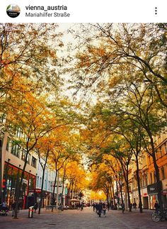 people are walking down the street in front of tall buildings and trees with yellow leaves on them