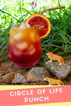 an orange and red drink sitting on top of rocks next to a cat figurine